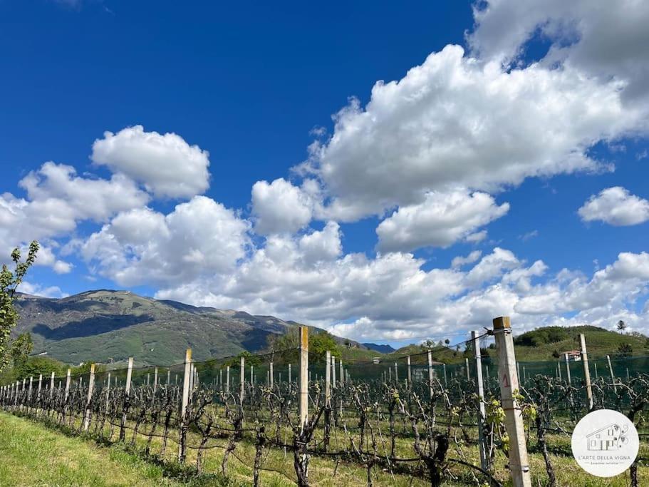 فيلا Casa L'Arte Della Vigna Bigolino المظهر الخارجي الصورة